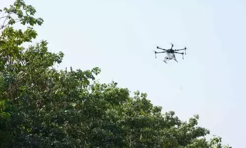 Greenery Promotion: Drones spray nutrients on trees in Amaravati