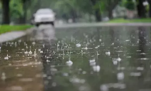 Rain, hailstorm increase chill in Rajasthan, 12 hurt in various incidents