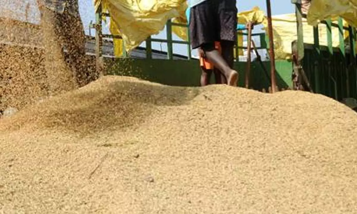 Farmers decry collection of excess paddy by millers