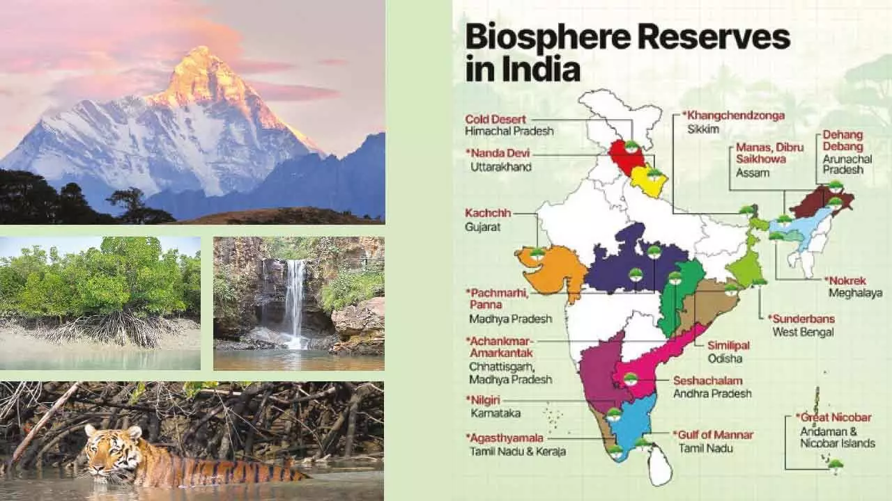 Biosphere reserves: Ancient insights and contemporary relevance