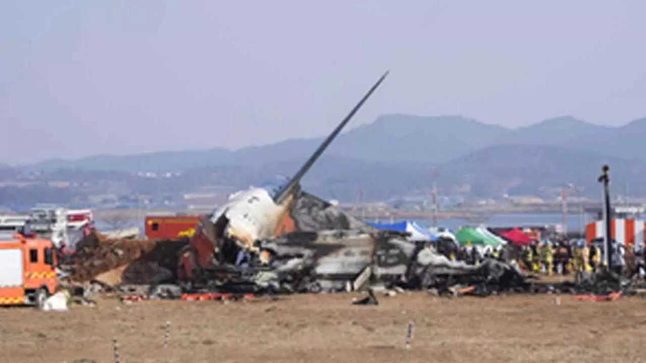 South Korea plane crash: Eyewitnesses report sparks in engine, bird strike; death toll mounts to 127