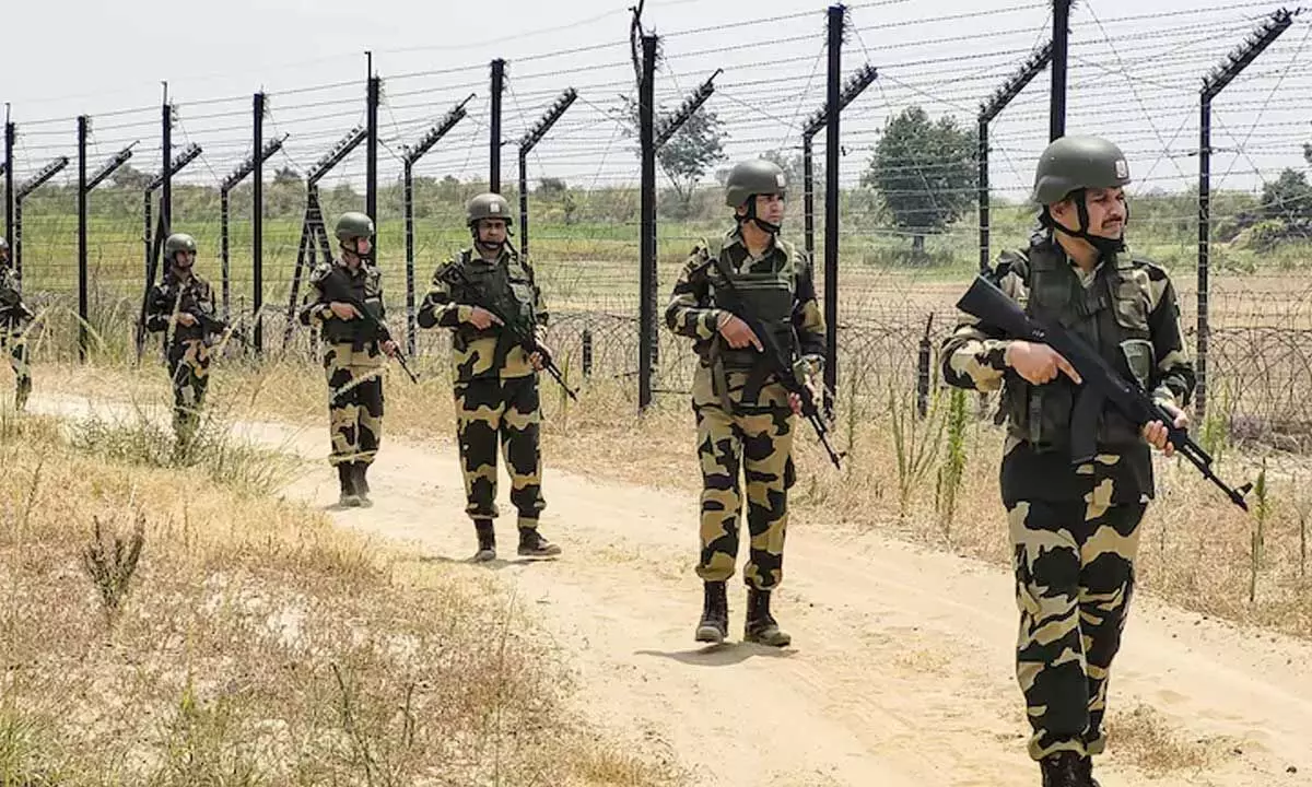 Security Forces In Jammu and Kashmir Eliminate 75 Terrorists In 2024, Majority Foreign Nationals