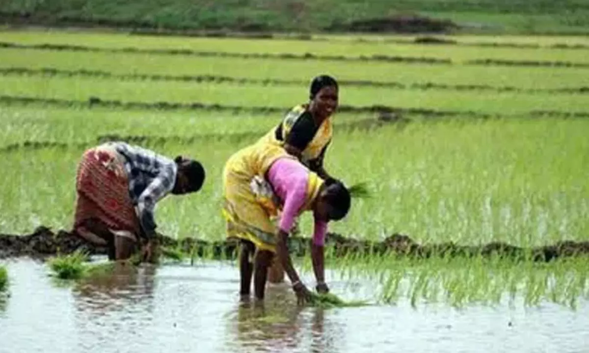 Farmers Welfare Scheme to Be Implemented During Sankranti in Telangana