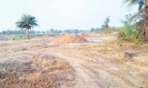 Sand mafia operating brazenly: Farmers report financial losses as tractors destroy their bitter gourd crops