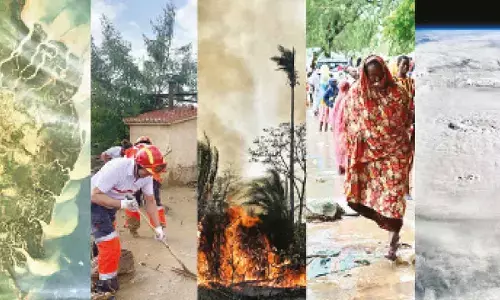 26 extreme events killed at least 3,700 in 2024