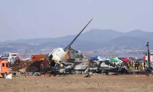 South Korea plane crash: Eyewitnesses report sparks in engine, bird strike; death toll mounts to 127