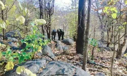 Year-Ender: LWE saw significant decline in 2024 as India set sights on eradication by 2026