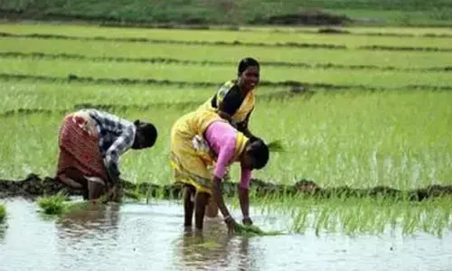 Farmers Welfare Scheme to Be Implemented During Sankranti in Telangana