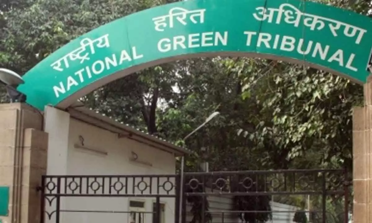 NGT orders thermal power plants at Aurangabad’s Nabinagar to comply with environmental laws