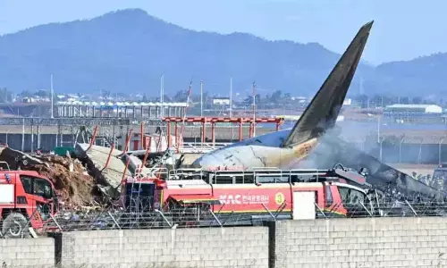 South Korea Plane Crash: 179 Dead, Nation Declares 7-Day Mourning
