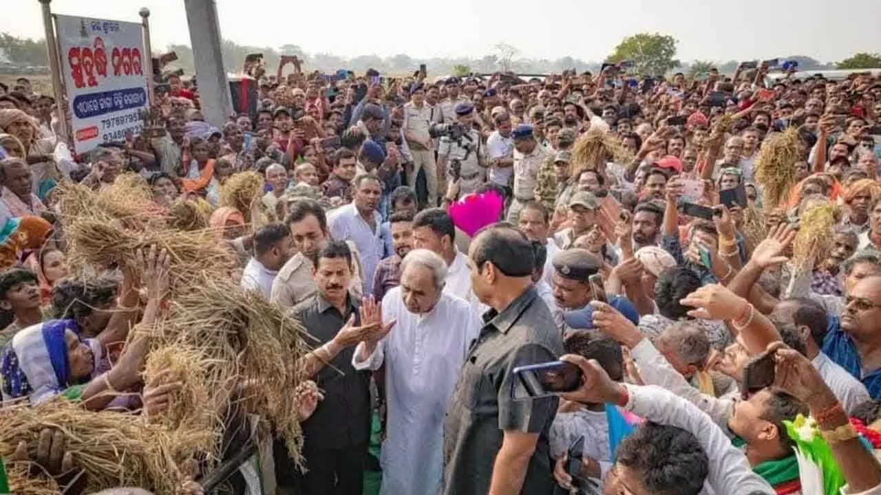 Farmers must be compensated quickly: Naveen