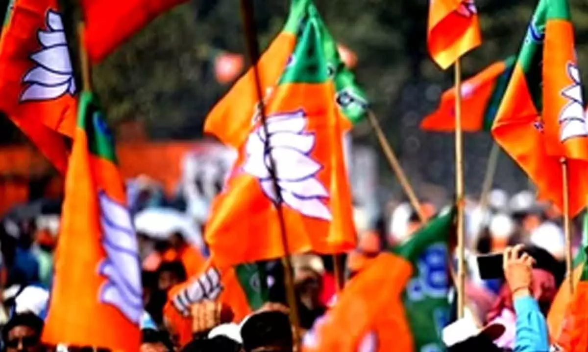 MP BJP likely to announce zila adhyakshs by first week of January