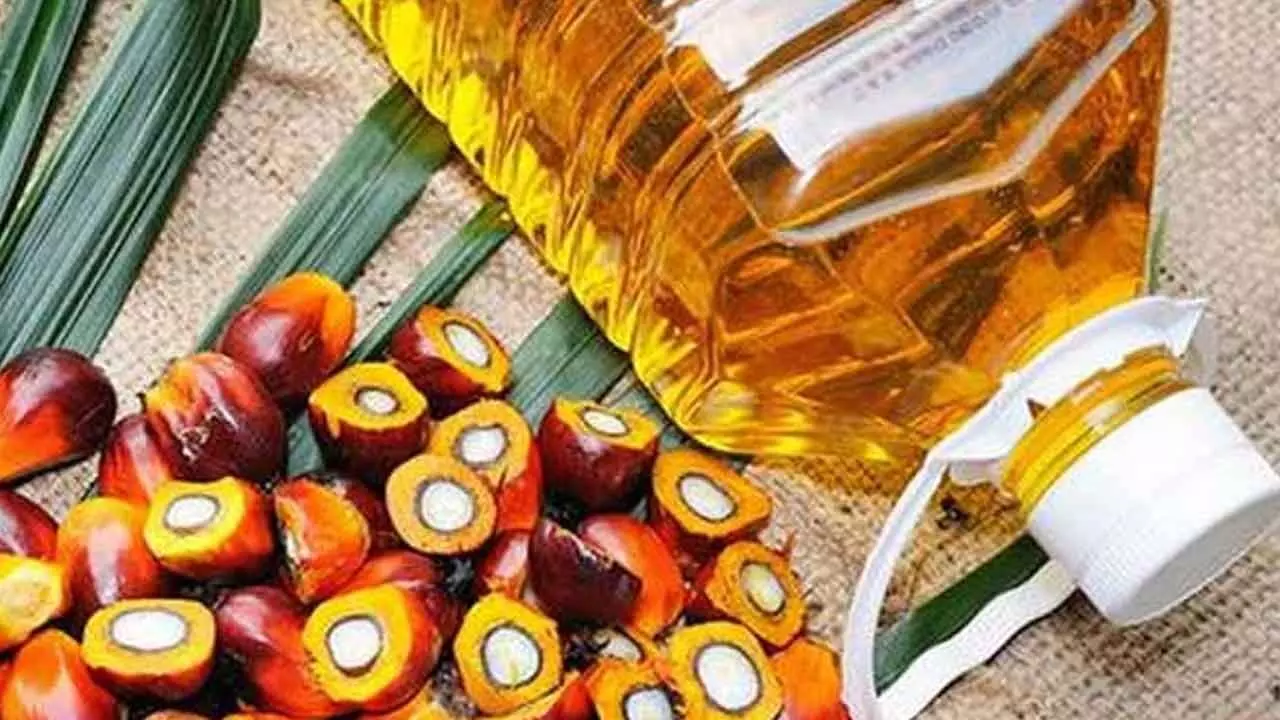 Telangana: Government Hikes Palm Oil FFB Prices, New Rates Effective Today Telangana: Government Hikes Palm Oil FFB Prices, New Rates Effective Today