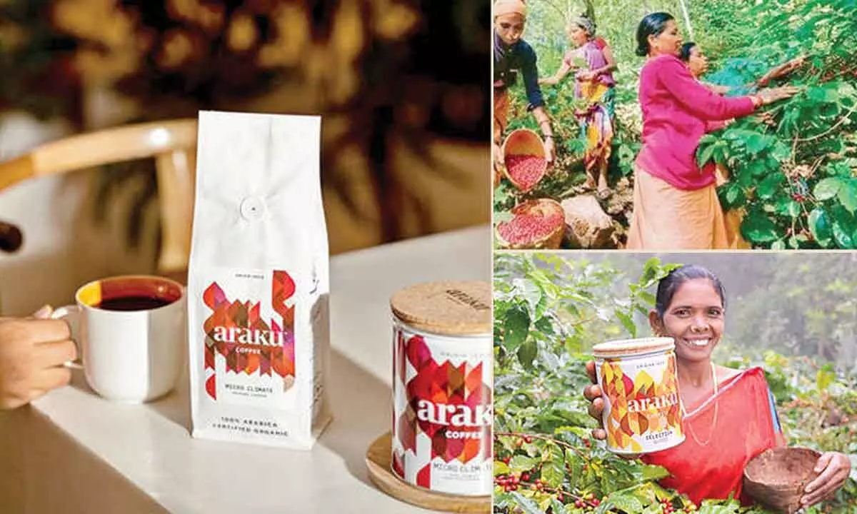 Araku Coffee aroma wafts far and wide