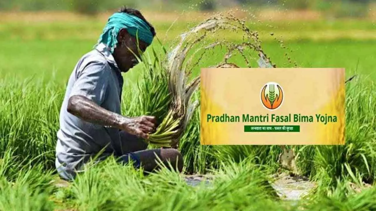 Crop insurance schemes for farmers extended