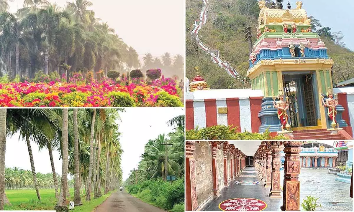 East Godavari region set for tourism revival