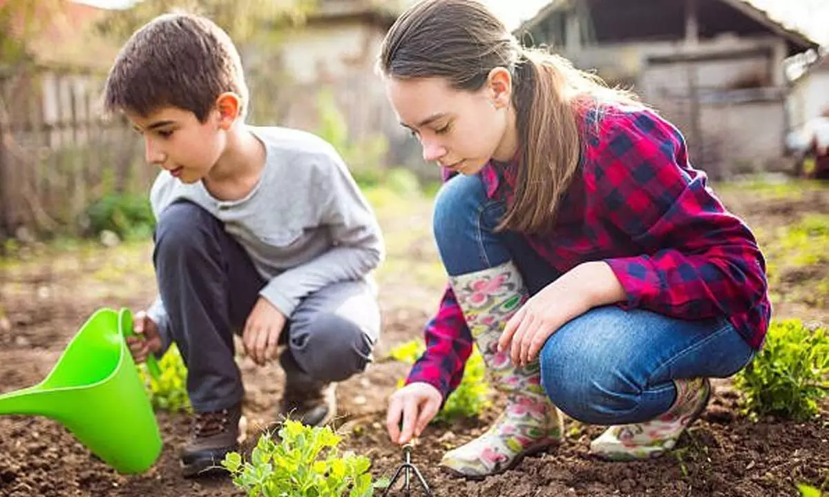 Why every kid should learn about the environment