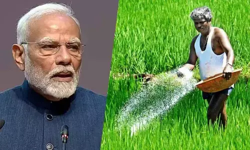 New Year bonanza for farmers