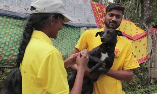 As rabies deaths rise, TN health dept directs vaccine availability in all districts