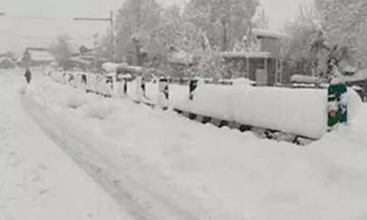 Fresh snowfall lashes Kashmir Valley