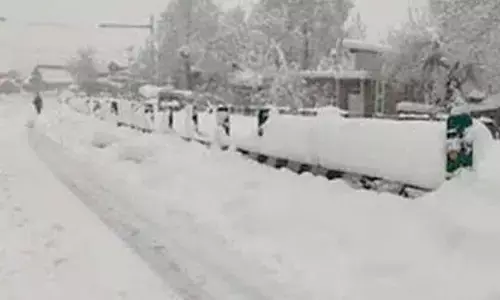 Fresh snowfall lashes Kashmir Valley