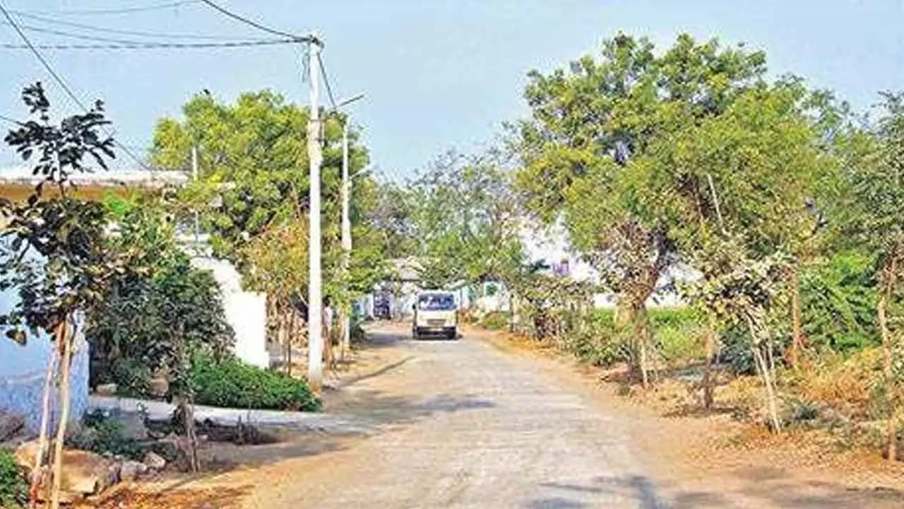 Rs 1,000 crore allocated for rural road network devpt