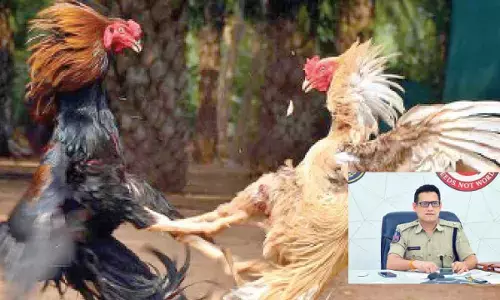 Stern action over cockfights: CP Sunil Dutt