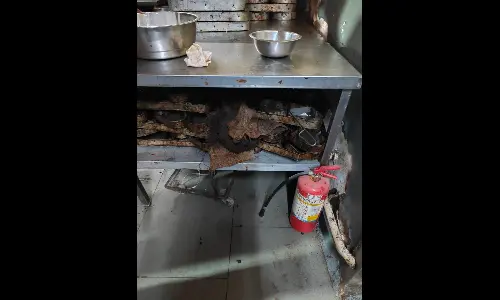 Severe Hygiene Lapses Found in Secunderabad, Alwal Cake Shops