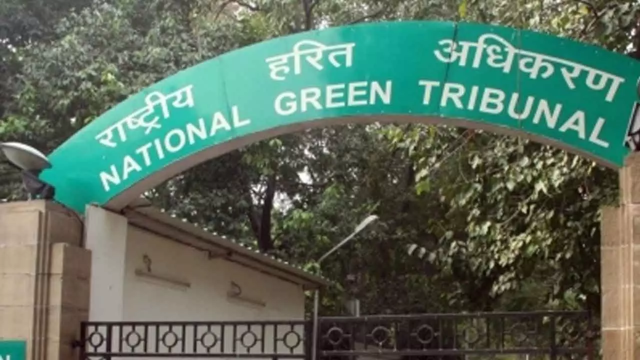 NGT issues notice to Delhi govt on plea alleging land for afforestation under illegal encroachment