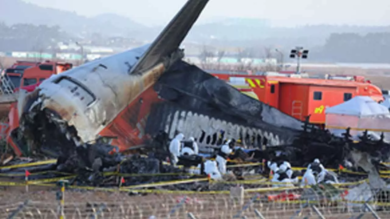 Two engines of crashed Jeju Air jet moved to hangar for investigation