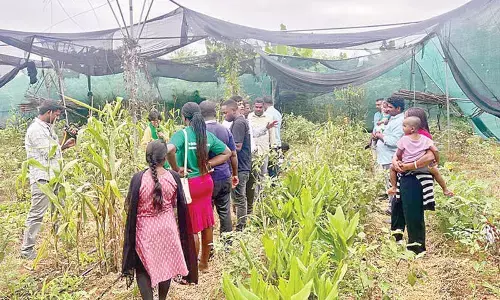 ‘Organic Kuppam’ initiative tomorrow