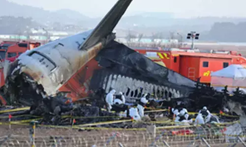 Two engines of crashed Jeju Air jet moved to hangar for investigation