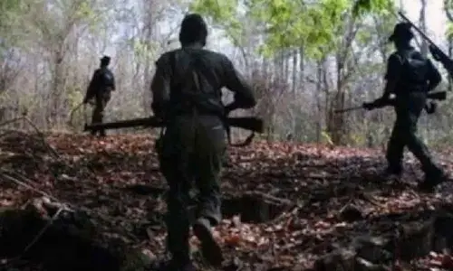 Fruitful Rehabilitation talks