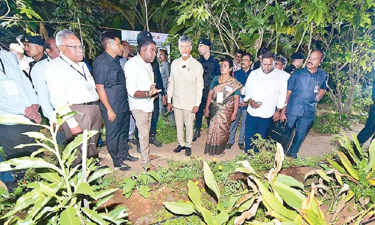 Natural farming is key focus for the administration: CM