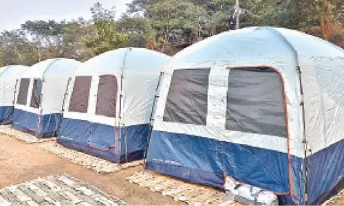 Godavari bank beckons to savour its serenity