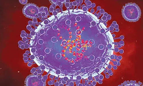 Experts reassure denizens, say HMPV outbreak not new