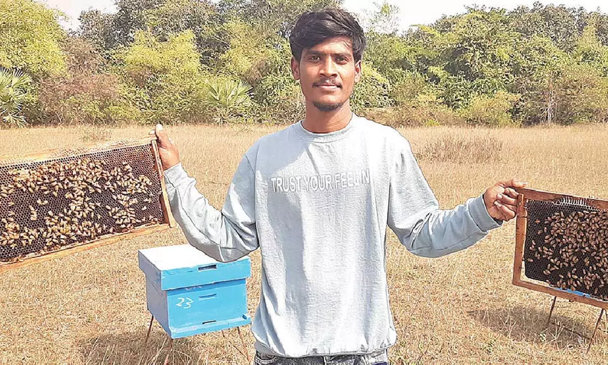 Youth tastes sweet success in producing organic honey