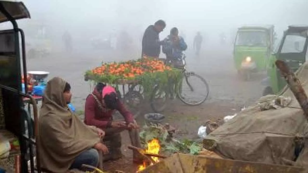 Fatehpur shivers at 1.1 degrees as cold wave sweeps Raj