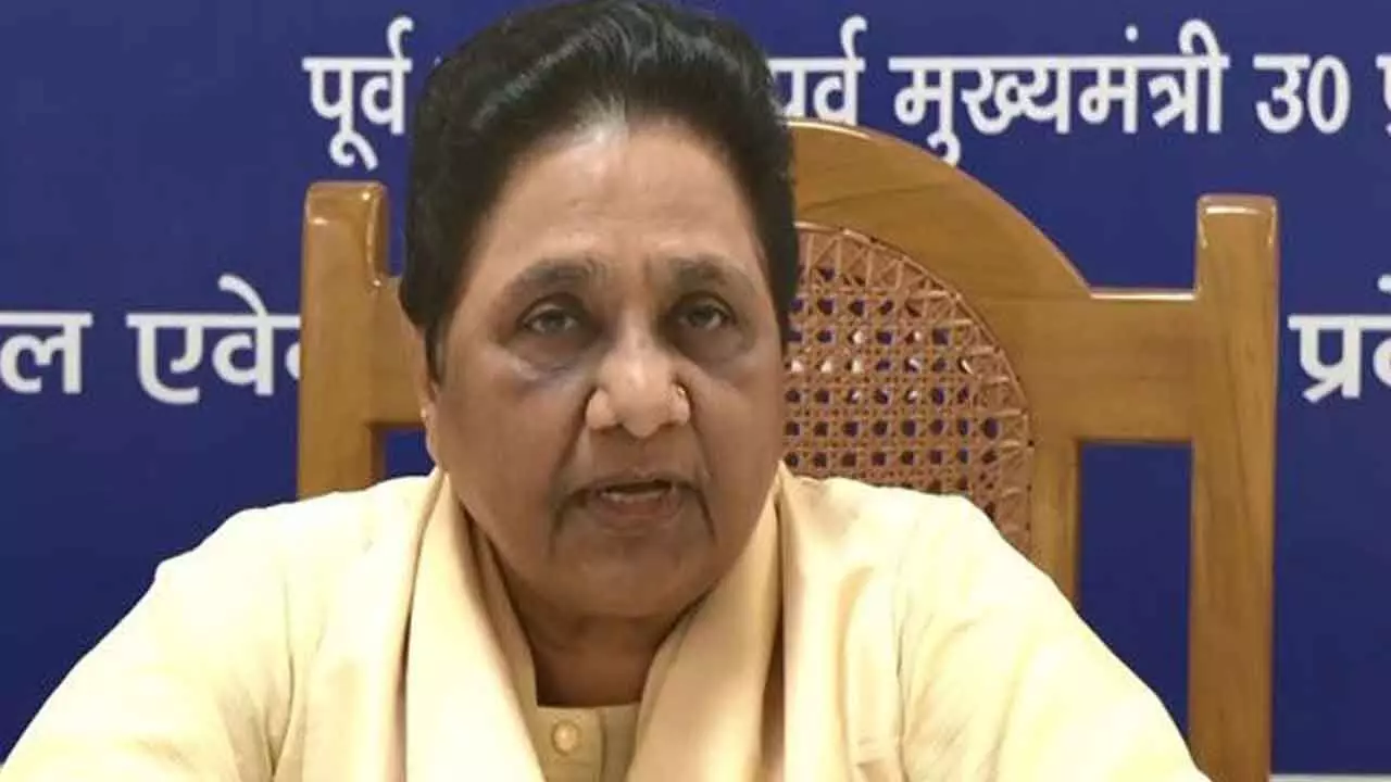 Will fight independently in Delhi polls: Mayawati