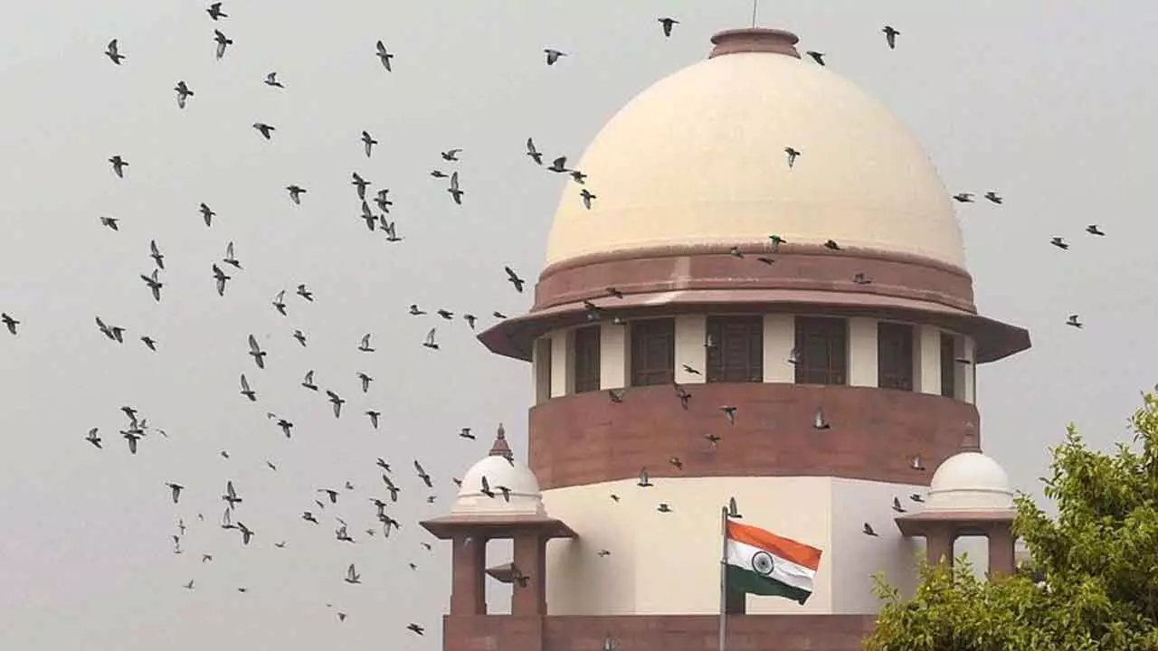 SC orders immediate action to fill vacancies in CIC