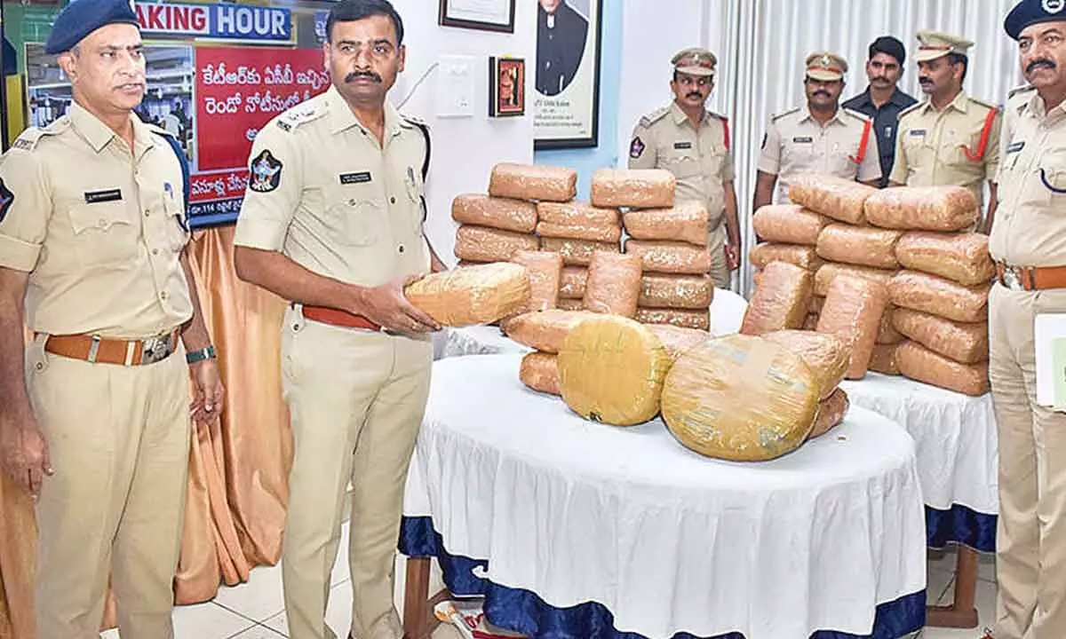 Tirupati police seizes 100 kg ganja worth Rs 25L