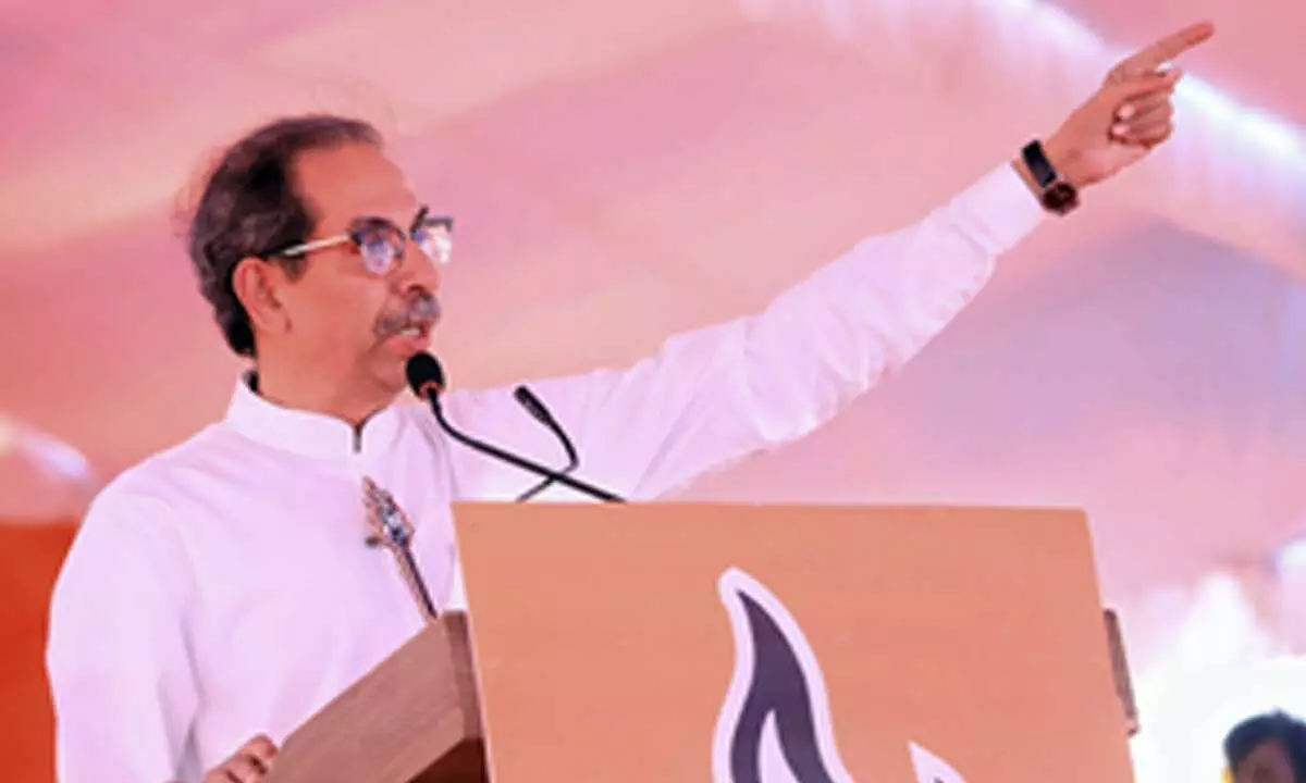 Uddhav Thackerays Shiv Sena bats for Kejriwal, accuses Delhi L-G of BJP bias, nudges Congress