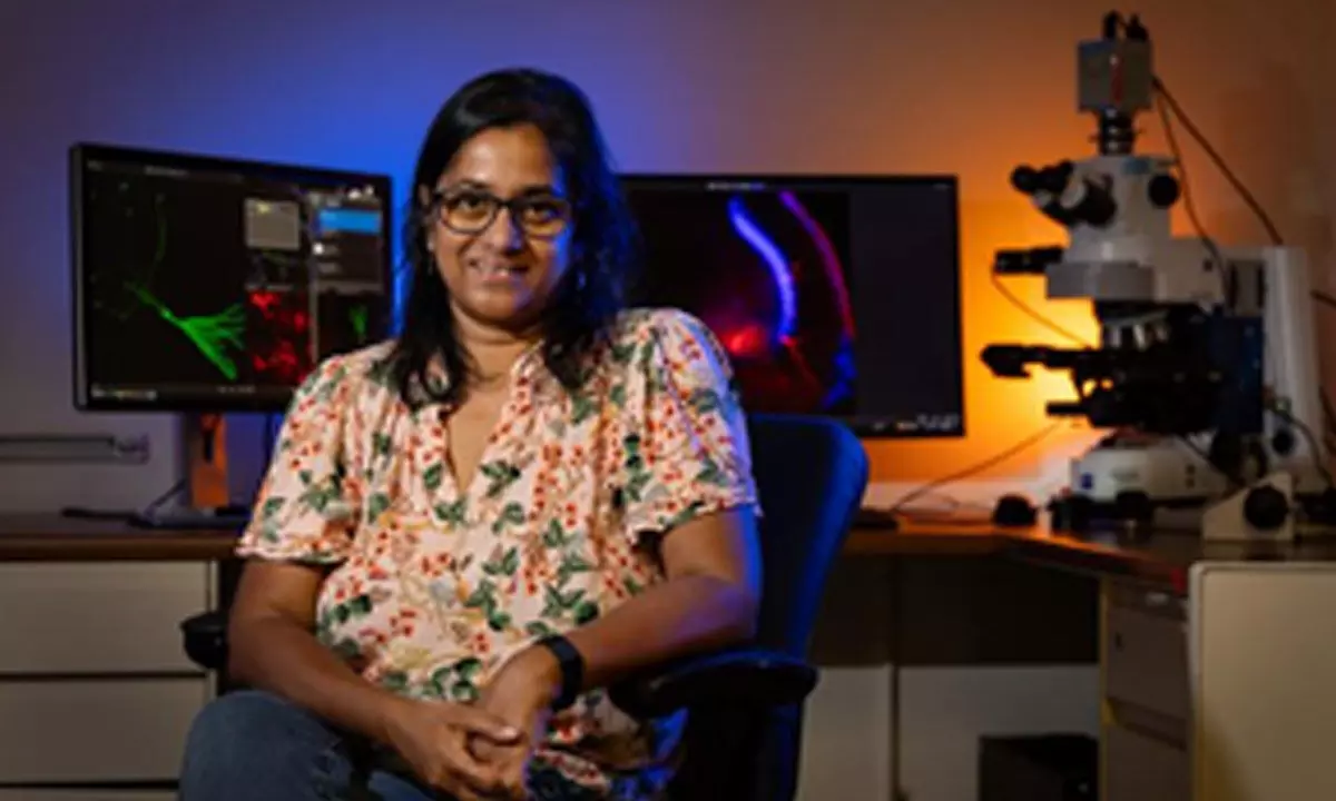 Indian-origin researcher finds gene behind autism and seizures