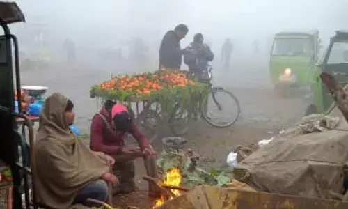 Fatehpur shivers at 1.1 degrees as cold wave sweeps Raj