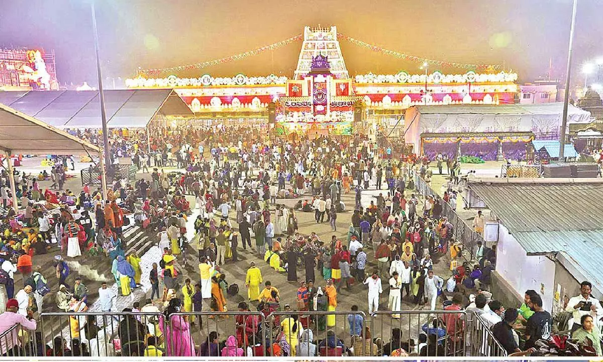 Tirumala dazzles with colourful decorations