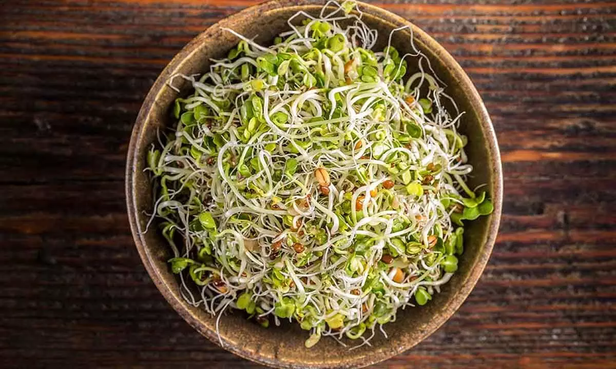 Surprising Health Benefits of Eating Sprouts