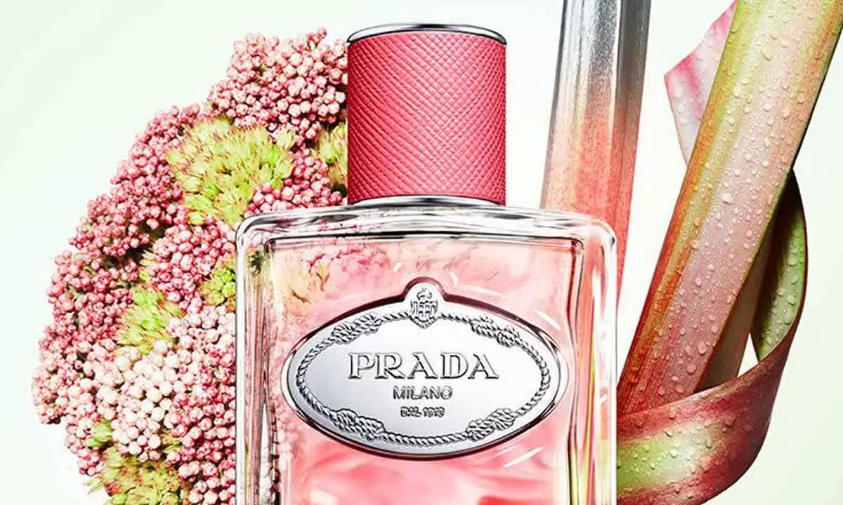 Smell fresh with these top perfume picks for 2025!