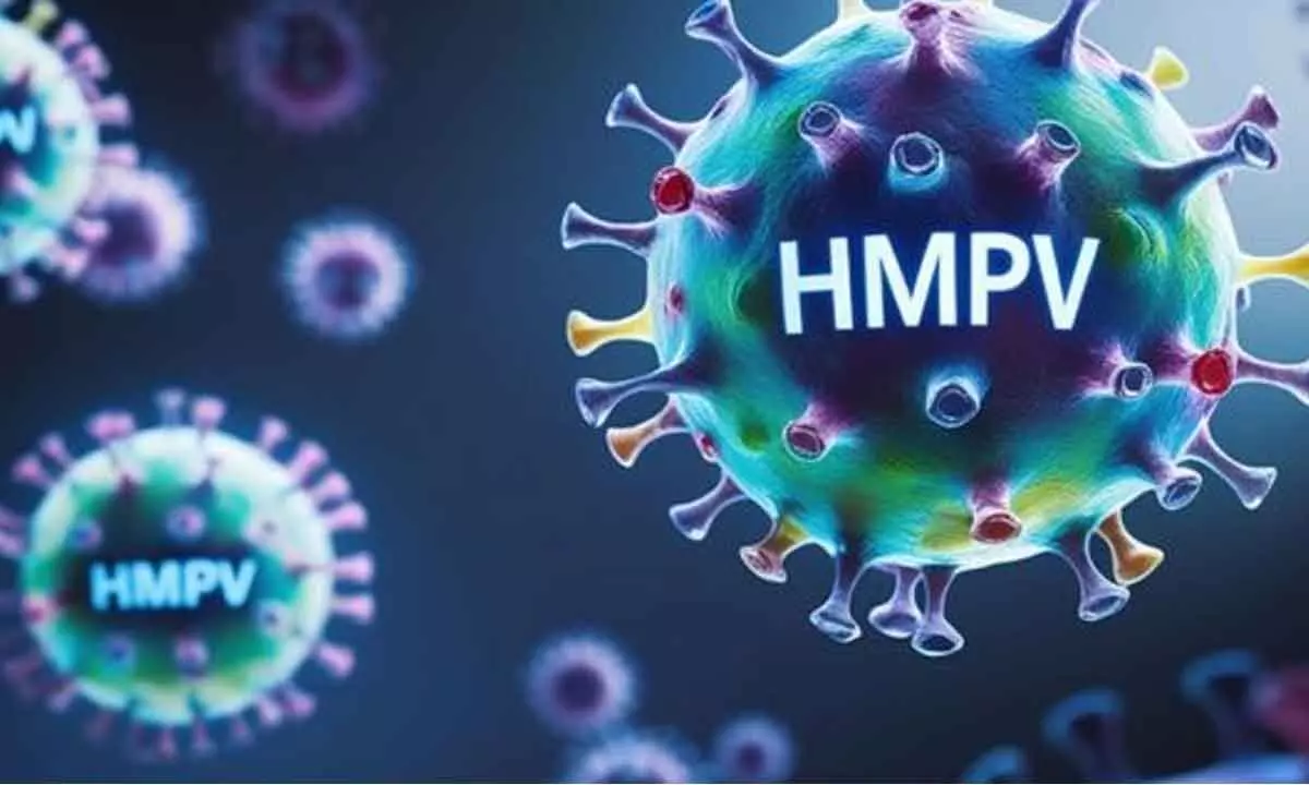 WHAT HMPV INCIDENCE TELLS US