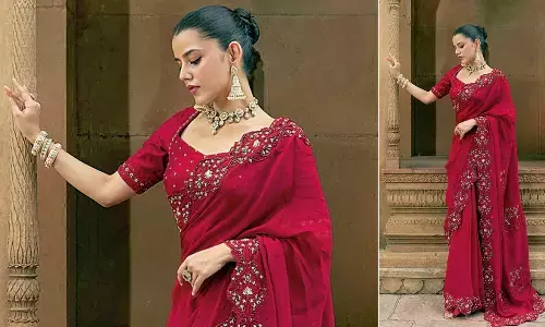 Palace wedding: Sindoor organza embroidered saree