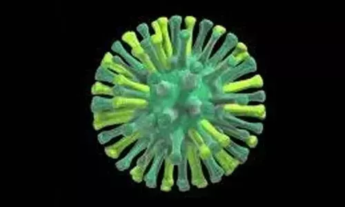 S. Korea confirms 2 more bird flu outbreaks, raising seasons total to 23